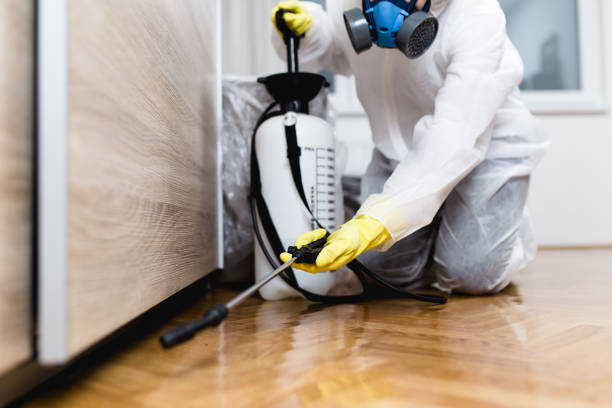 Best Ant Control Services  in Taft Heights, CA