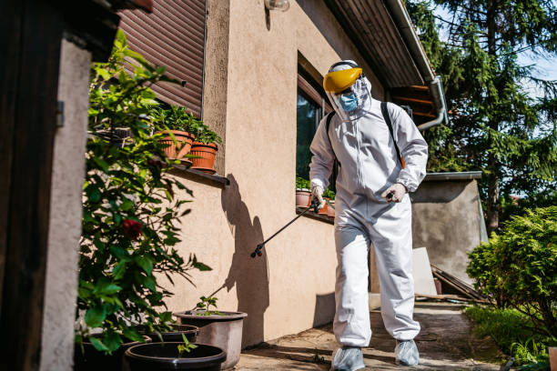 Best Pest Prevention Services  in Taft Heights, CA