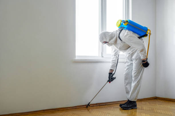 Professional Pest Control in Taft Heights, CA