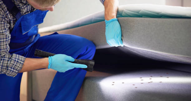 Best Rat Extermination Near Me  in Taft Heights, CA