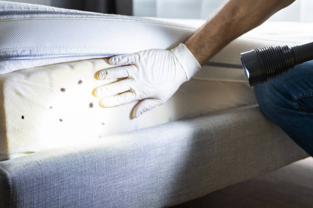  Taft Heights, CA Pest Control Pros