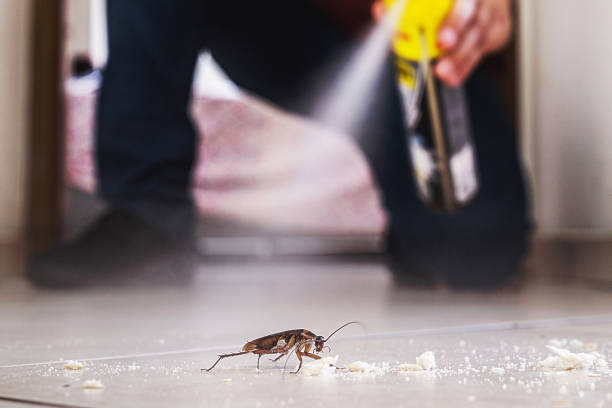 Best Pest Control Near Me  in Taft Heights, CA