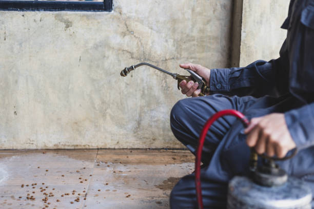 Best Emergency Pest Control  in Taft Heights, CA